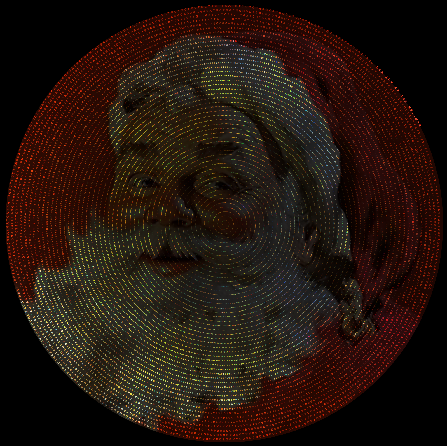 Santa Claus rendered in DNA Spiral